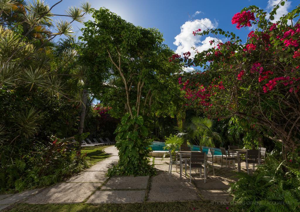 Siboney Beach Club St. John's Exteriér fotografie